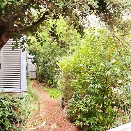 Petite Maison Bois Cosy Dans Un Ecrin De Verdure * Porto-Vecchio (Corsica)