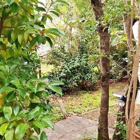 Petite Maison Bois Cosy Dans Un Ecrin De Verdure * Porto-Vecchio (Corsica)